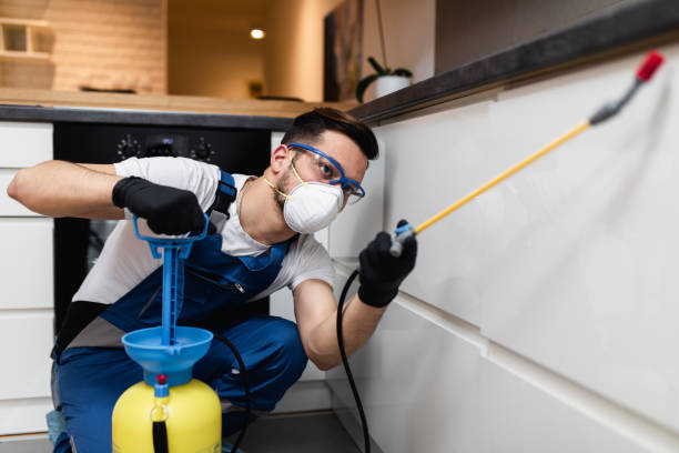 Best Best Pest Control Companies  in Brookdale, SC