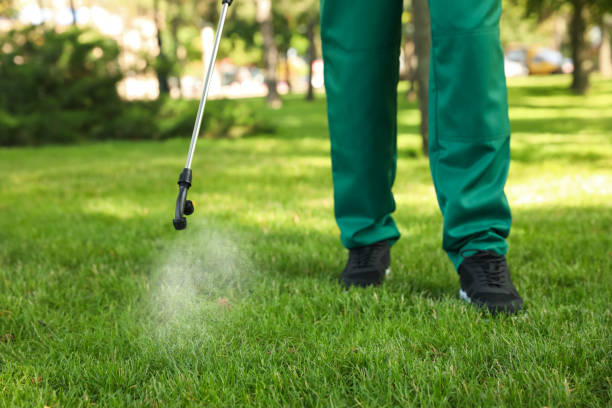 Best Mosquito Control Services  in Brookdale, SC