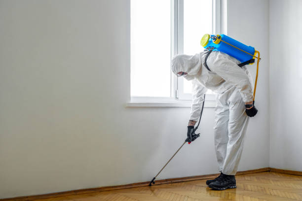Wildlife Control Services in Brookdale, SC