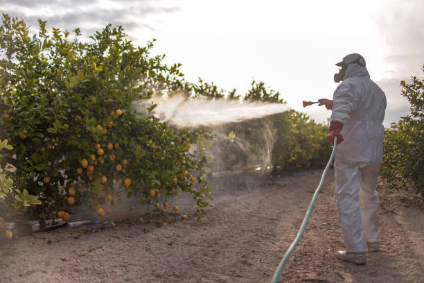 Brookdale, SC Pest Control Company